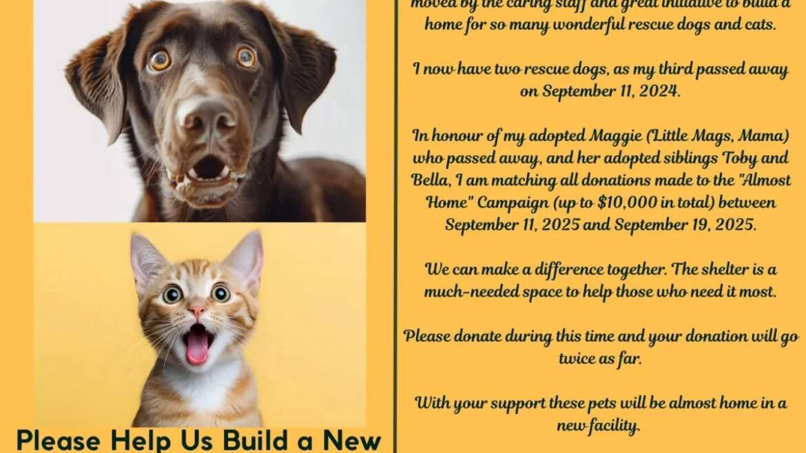A Generous Donor Will Match Every Dollar Up to $10,000