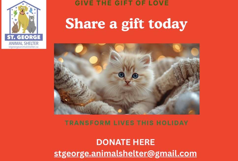 Share a Gift Today
