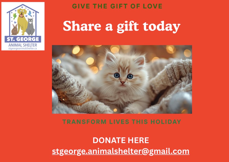 Share a Gift Today